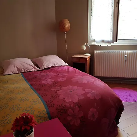 De L'etoile 公寓 勒芒