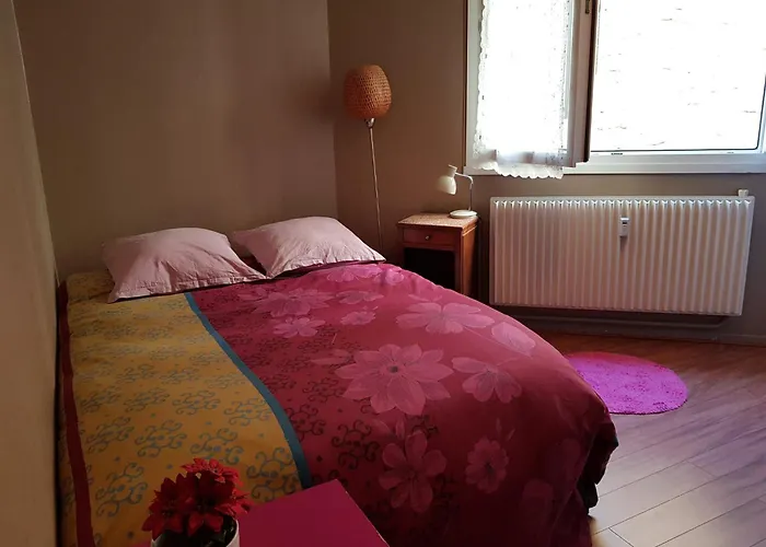 De L'étoile Apartamento Le Mans